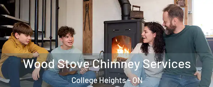  Wood Stove Chimney Services College Heights - ON