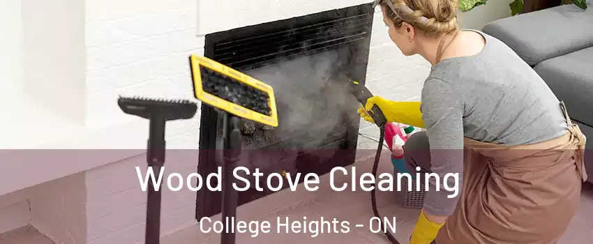  Wood Stove Cleaning College Heights - ON
