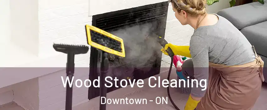  Wood Stove Cleaning Downtown - ON