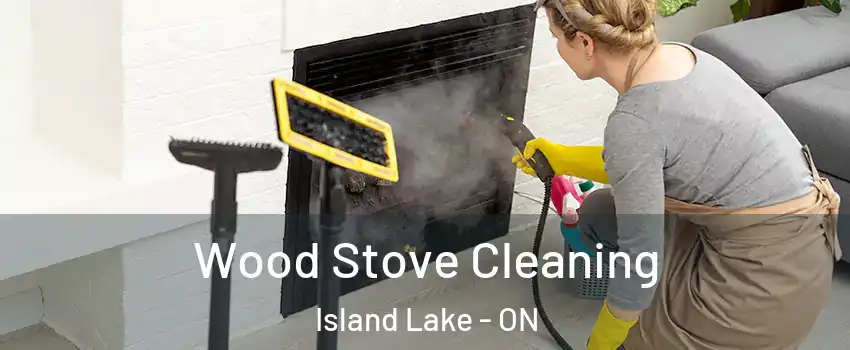  Wood Stove Cleaning Island Lake - ON